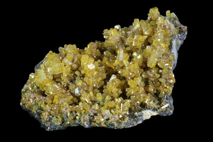 Golden Hexagonal Mimetite Crystal Cluster - Thailand #93071